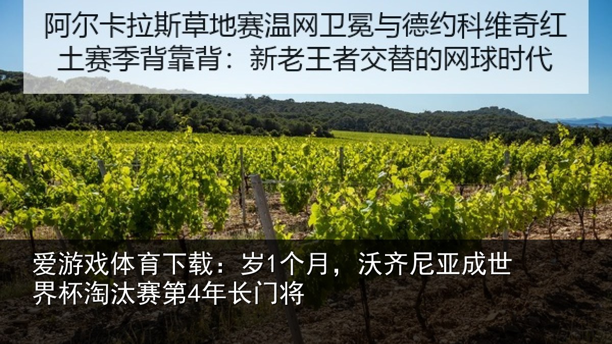 爱游戏体育下载:岁1个月,沃齐尼亚成世界杯淘汰赛第4年长门将