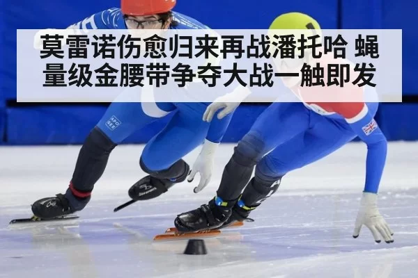 莫雷诺伤愈归来再战潘托哈 蝇量级金腰带争夺大战一触即发