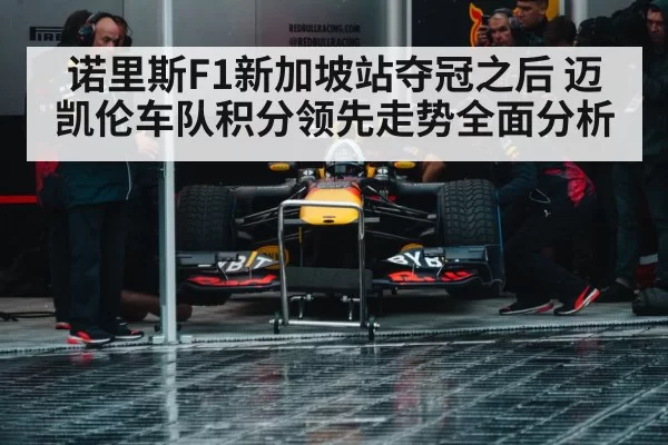Formula 1 pit stop crew
